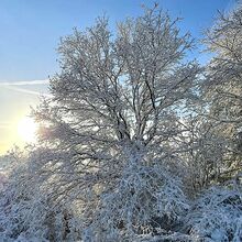 Winterlandschaft rund um Kollig