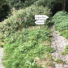 Im Elztal